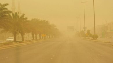 تحذير من رياح محملة بالأتربة في ينبع والرايس