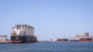 تداول 28 سفينة في ميناء دمياط خلال 24 ساعة