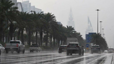 توقعات الطقس اليوم: عواصف رعدية وسقوط بَرَد ورياح نشطة في 10 مناطق مختلفة