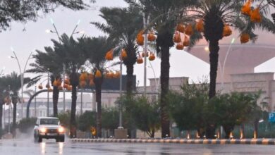 توقعات طقس الأحد: أمطار وضباب وأجواء باردة في مناطق متعددة