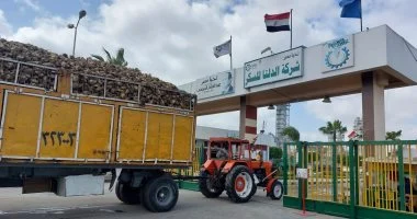 خزينة الدلتا للسكر تعاني من تراجع حاد في السيولة مع سحب على المكشوف يتجاوز 5 مليارات