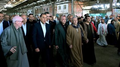 رئيس الوزراء يعلق على ارتفاع أسعار الطماطم ويؤكد: الكيلو يسجل 15 جنيهًا بسوق العبور