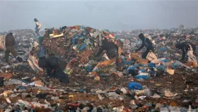رفع نحو 316 ألف طن من النفايات في المنطقة الشرقية خلال شهر رمضان