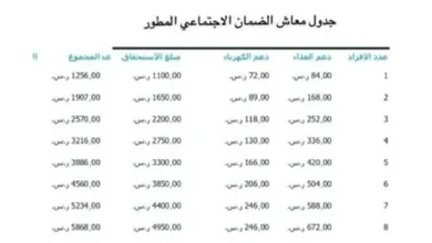 شروط الضمان الاجتماعي المطور للمرأة المتزوجة تكشف عن مزايا جديدة