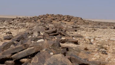 صخور الشمالية: دلالات تاريخية تُوثق آثار الحضارة الإنسانية على مر العصور