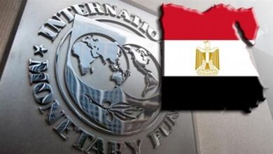 صندوق النقد الدولي يثني على قدرة الاقتصاد المصري في مواجهة التوترات الإقليمية المتزايدة