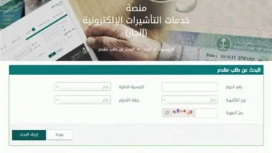 طريقة الاستعلام عن رصيد الجوازات برقم الهوية ورقم الجواز
