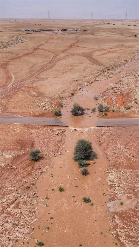 عدسة راجس الخضاري توثق بردية جنوب الغريف بين تربة والخرمة