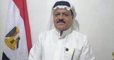 فايز أبو حرب يؤكد حرص الرئيس السيسي على إفادة المواطنين بكل التطورات الحالية