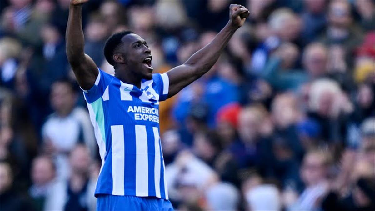 فيديو حصري: داني ويلبيك يحرز الهدف الثاني لبرايتون في شباك ليفربول بالدوري الإنجليزي