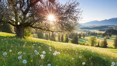 مارس: تلاقي بقايا الشتاء وبدايات الربيع في عرض فلكي مزدوج