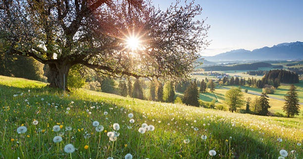 مارس: تلاقي بقايا الشتاء وبدايات الربيع في عرض فلكي مزدوج