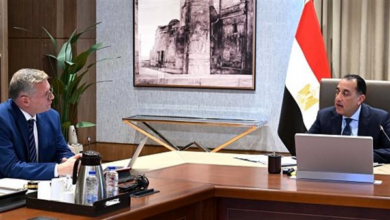 مدبولي يؤكد استمرار تأمين المخزون الاستراتيجي وتعزيز الإنتاج المحلي