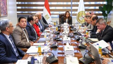 منال عوض تتابع الموقف التنفيذي لملفات بيئية وتنموية هامة بالمحافظات