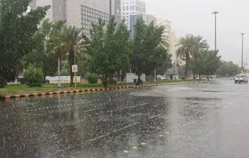 هطول الأمطار المباركة ي revitalizes محافظتي الخرج والدلم