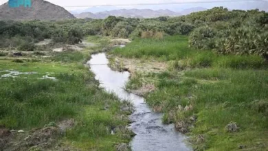 وادي الحريق يستقطب الزوار بمشاهد طبيعية ساحرة شمال شقراء