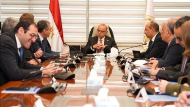 وزير الاستثمار يبحث مع «دراسكيم» العالمية تدشين أول منطقة حرة خاصة لإنتاج سيانيد الصوديوم ومشتقاته