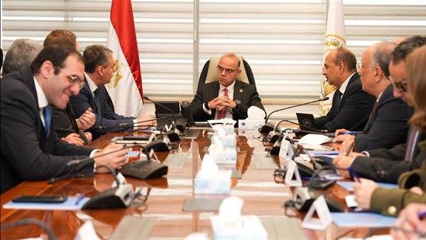 وزير الاستثمار يبحث مع «دراسكيم» العالمية تدشين أول منطقة حرة خاصة لإنتاج سيانيد الصوديوم ومشتقاته