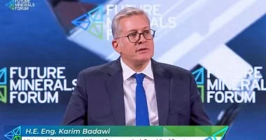 وزير البترول يعلن تسوية مستحقات شركاء الاستثمار والغاز قبل نهاية يونيو